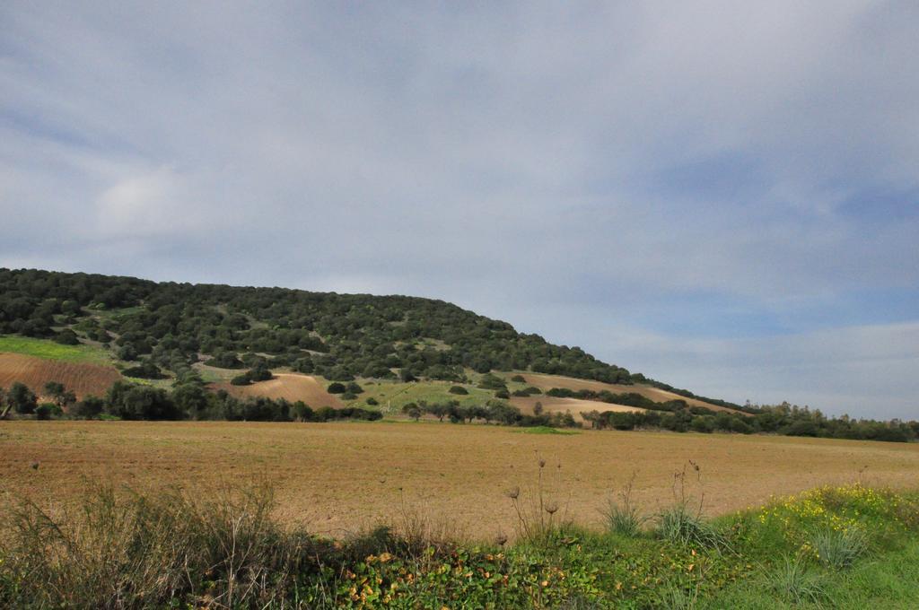 Agriturismo Sa Scalitta Carbonia Εξωτερικό φωτογραφία